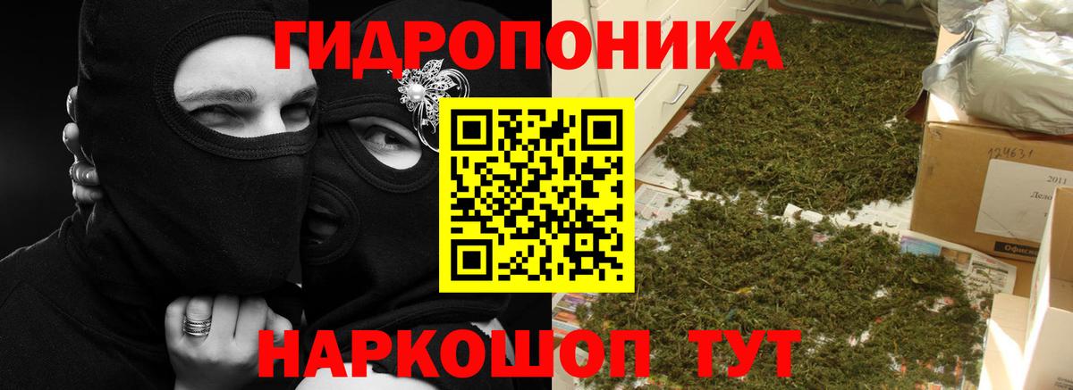 Марихуана индика Новоалександровск